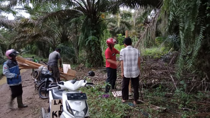 Foto: Warga Kampung Karang Jawa sempat mematok lahan yang dikuasai oleh mafia tanah penuh batang sawit, (foto_dok/2022)