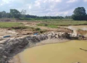 Miris! Sekretaris PWDPI Lampung Timur Mundur, Nilai Ketua Umum Tak Profesional