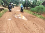 Proyek Sabes di Lebuay, Kades Menang Banyak Warga Dijadikan Penonton.