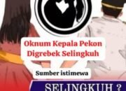 Diduga Selingkuh,Oknm Kepala Pekon di Banyumas Pringsewu Digerebek Istri di Penginapan.